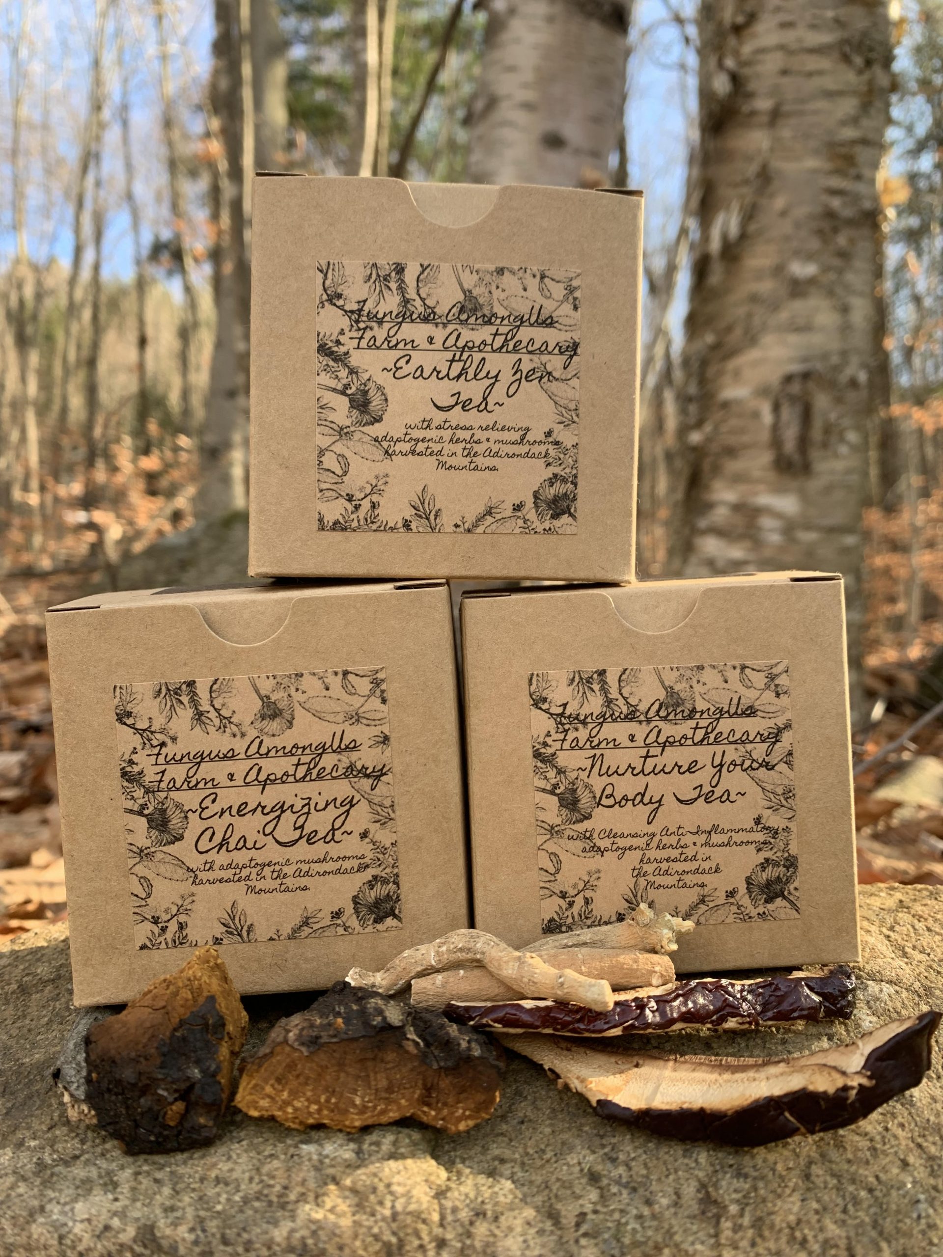 The Future of Fungi!